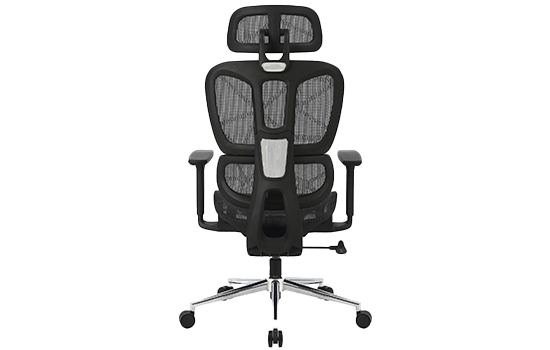  Bluecase Office Ergo Master